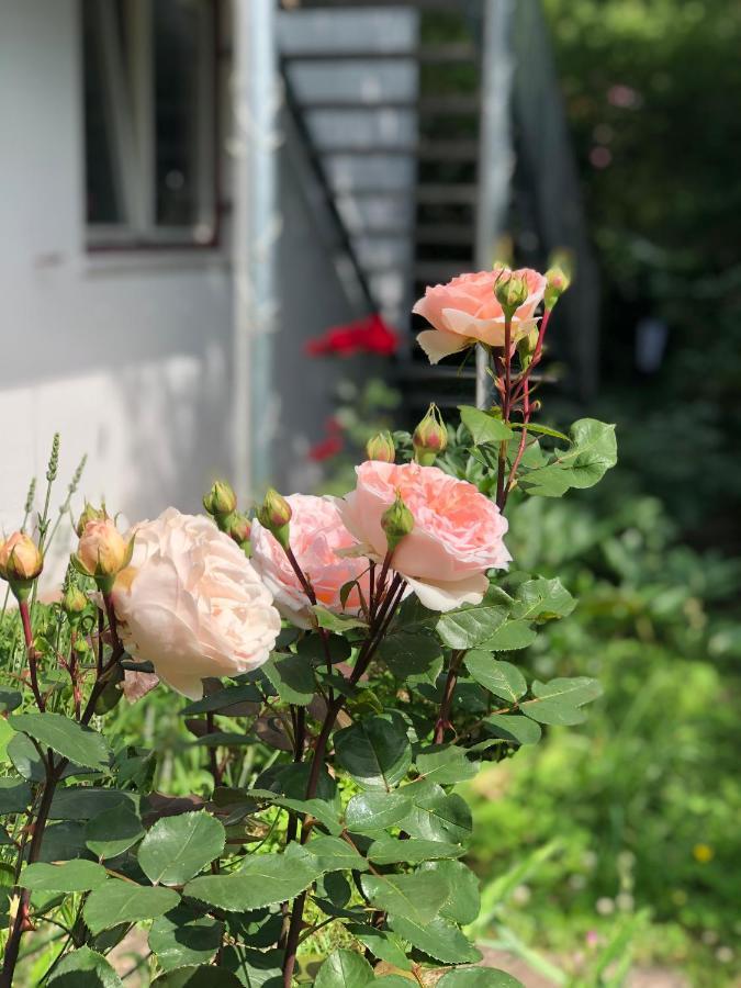 Charmante Ferienwohnung Mit Balkon Im 5-Seen-Land Hechendorf am Pilsensee Εξωτερικό φωτογραφία